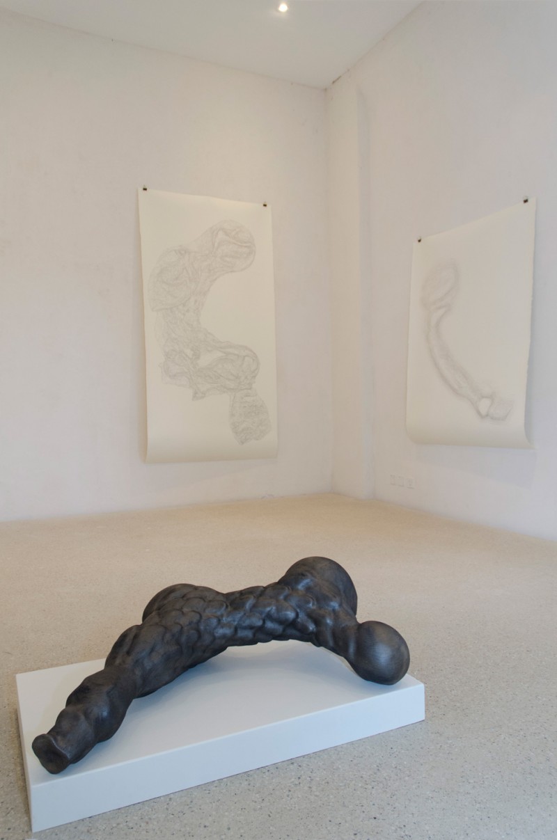 Sculpture and works on paper at Botanigramme exhibition, sculpture at Schoenthal foundation, Switzerland 2014